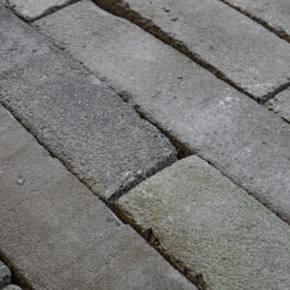 #T006 - Pistachio 5Tracks Raw WasteBasedSlips® 