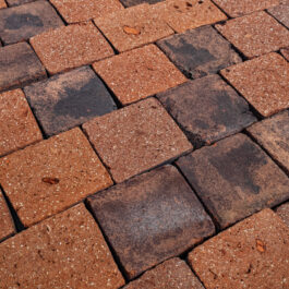 #T001 - Radish L-Type Raw & Sliced WasteBasedSlips®