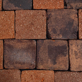 #T001 - Radish L-Type Raw & Sliced WasteBasedSlips®