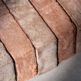 2G2W Raw WasteBasedBricks®