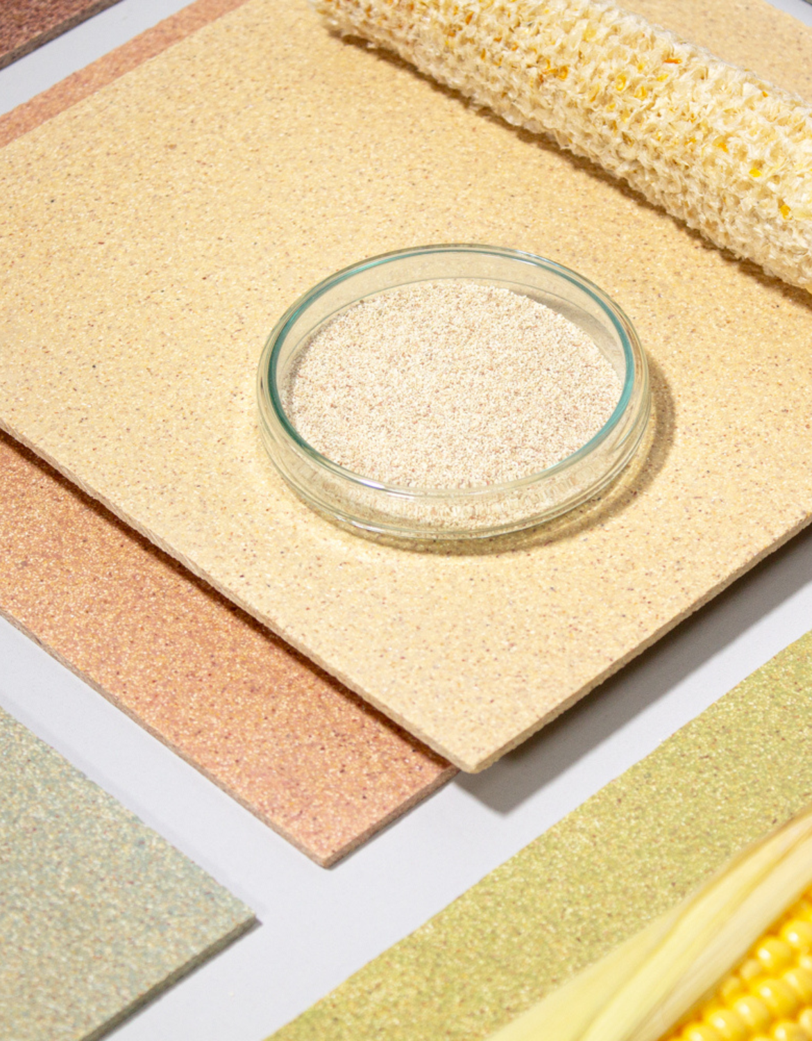 The StoneCycling Journey