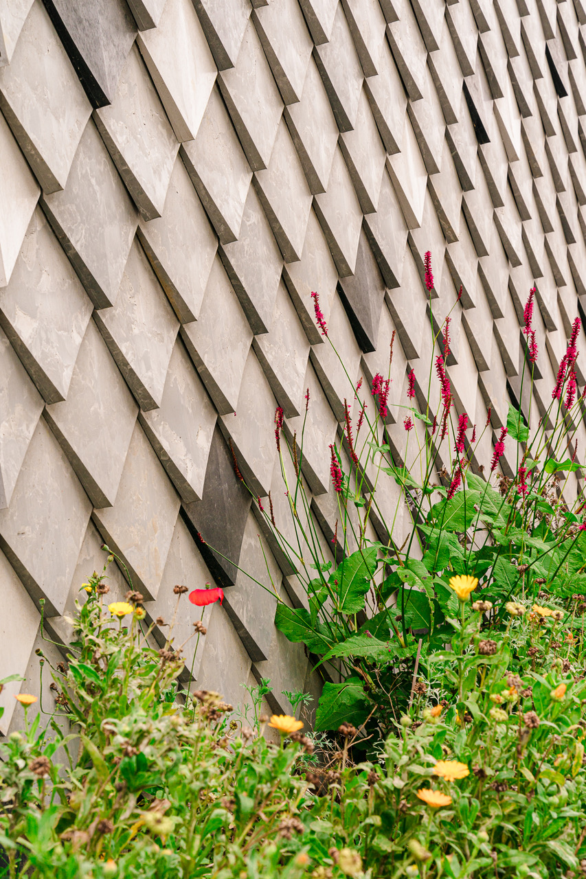 Striking Pretty Plastic Facade at Residence in Heverlee, Belgium | FRONT® Materials