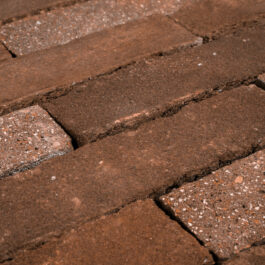 Radish Stock T003 WasteBasedSlips | FRONT® Materials