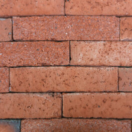 FRONT Stock - #T037 – Orange Punched & Sliced WasteBasedSlips