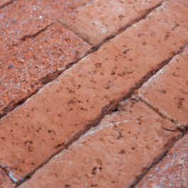 FRONT Stock - #T037 – Orange Punched & Sliced WasteBasedSlips