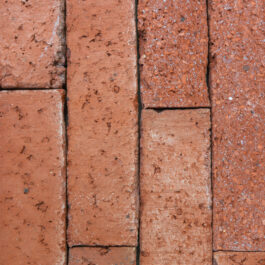 FRONT Stock - #T037 – Orange Punched & Sliced WasteBasedSlips