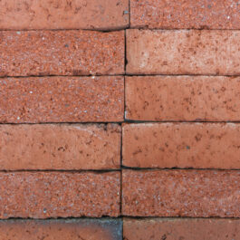 FRONT Stock - #T037 – Orange Punched & Sliced WasteBasedSlips