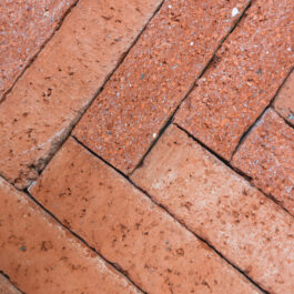 FRONT Stock - #T037 – Orange Punched & Sliced WasteBasedSlips