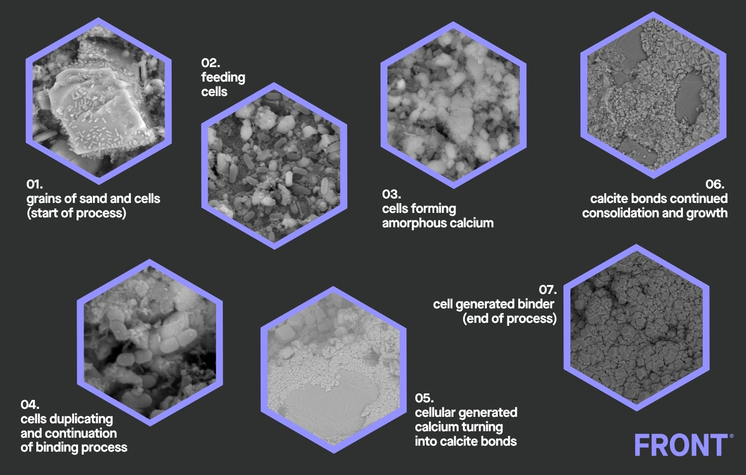Meet the Bacteria behind the Mimmik Tile | FRONT Materials