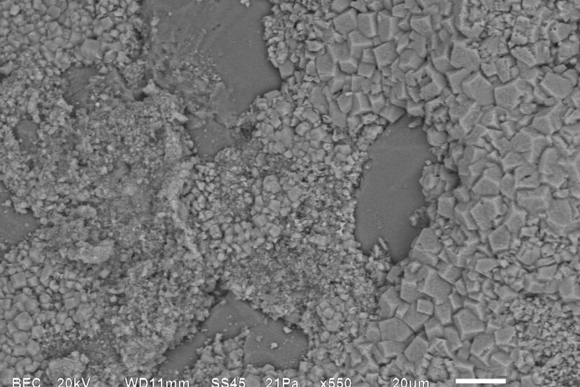 Meet the Bacteria behind the Mimmik Tile | FRONT Materials