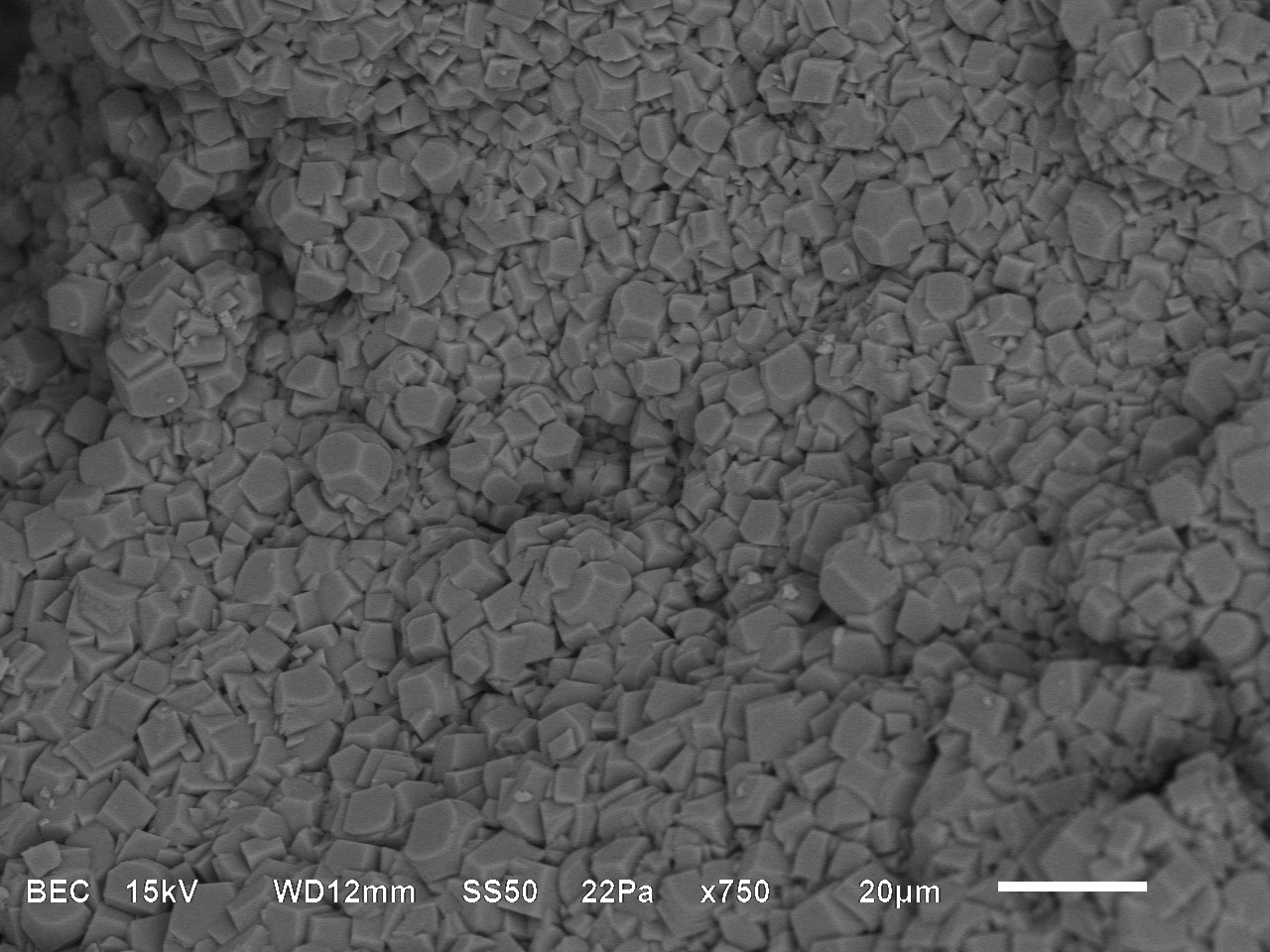 Meet the Bacteria behind the Mimmik Tile | FRONT Materials