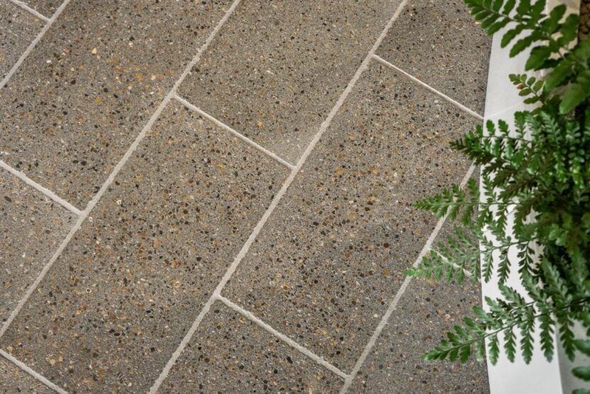 Meet the Bacteria behind the Mimmik Tile | FRONT Materials