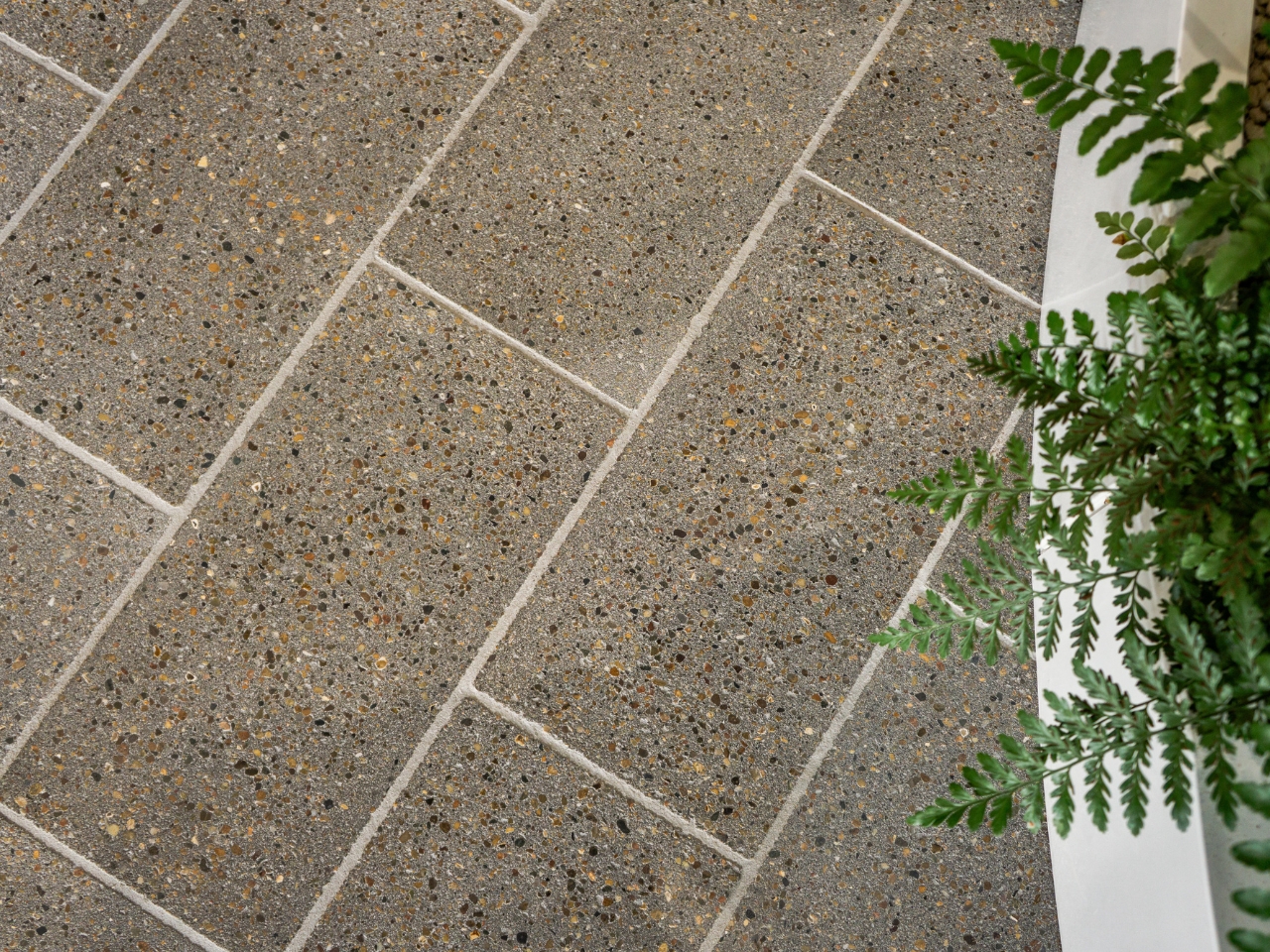 Meet the Bacteria behind the Mimmik Tile | FRONT Materials