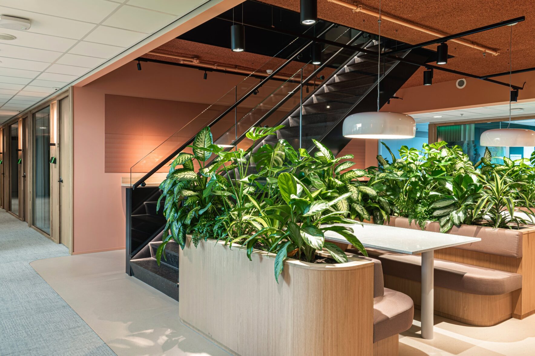 Trap en zitplek met planten in het BCG-kantoor in Amsterdam met Paper Waste Panels in Terracotta