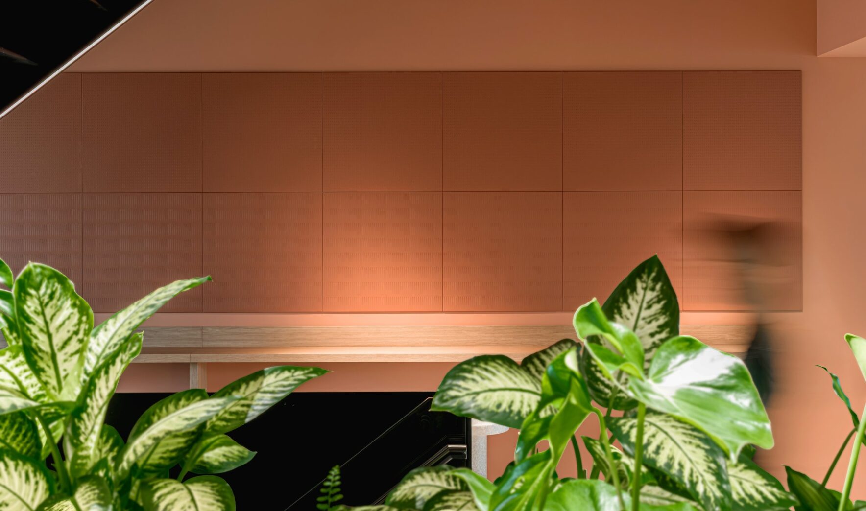 Wand met Terracotta Paper Waste Panels in Drop en Stripe achter planten bij BCG Amsterdam